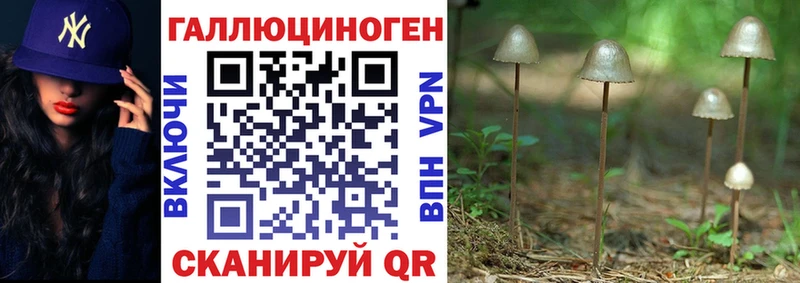Псилоцибиновые грибы Psilocybine cubensis kraken ССЫЛКА Пятигорск сколько стоит