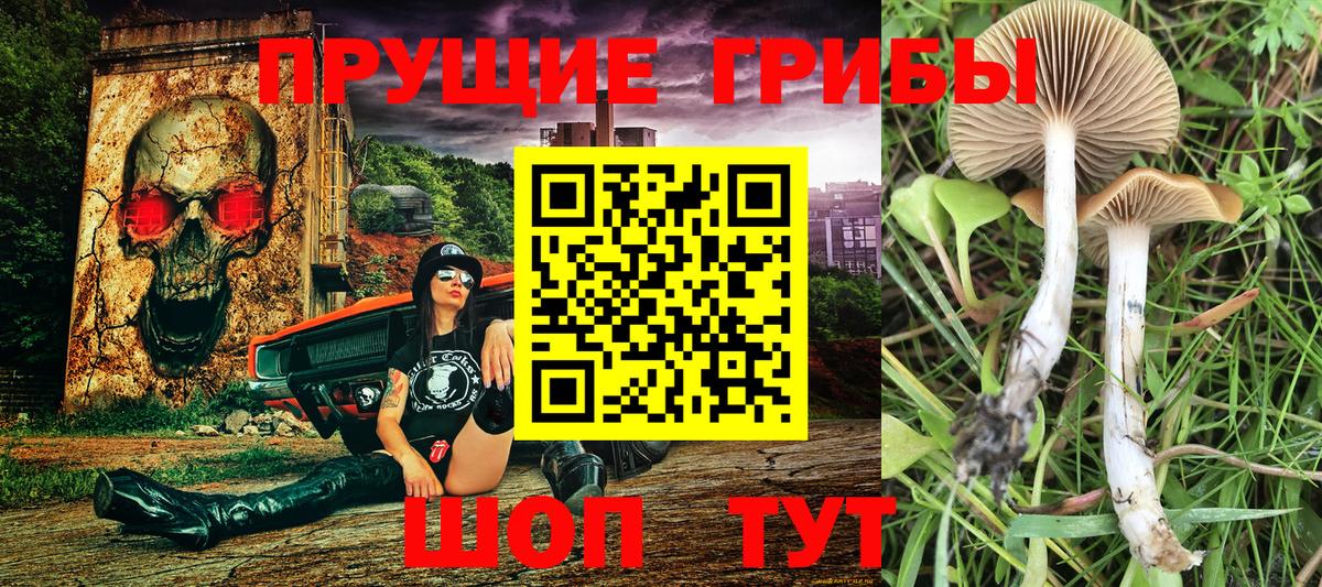 Псилоцибиновые грибы MAGIC MUSHROOMS  Галлюциногенные грибы Psilocybe  Вход с VPN  Пятигорск 